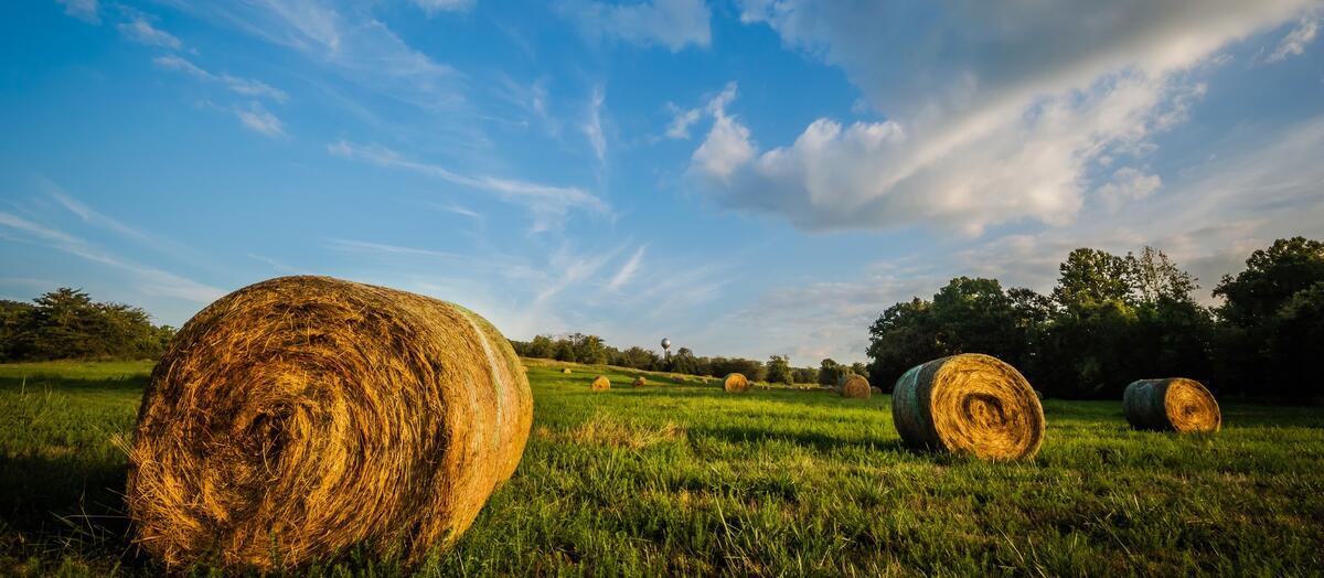 Image of hay farm and blue sky