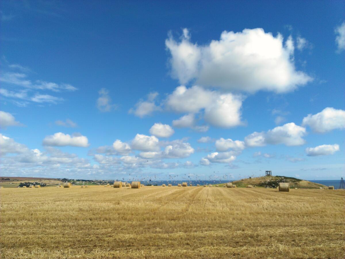 Dry land and blue sky