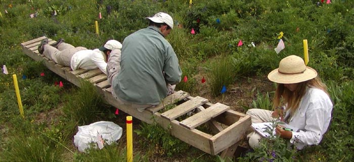 harte lab field
