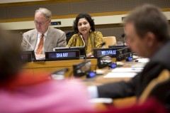 Profs. Leach & Ray Launch UN Gender Equality Report