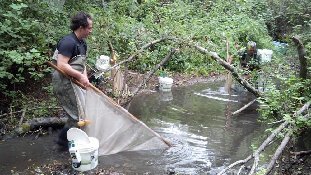 RussianRiverBodyNetting Cleo