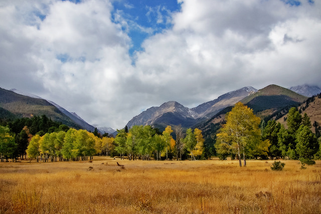 Mountain Meado (Jodi Grove, Nature's Vista Photography)
