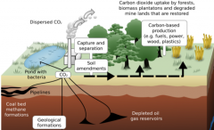 Beyond emissions: The promise of products from captured carbon